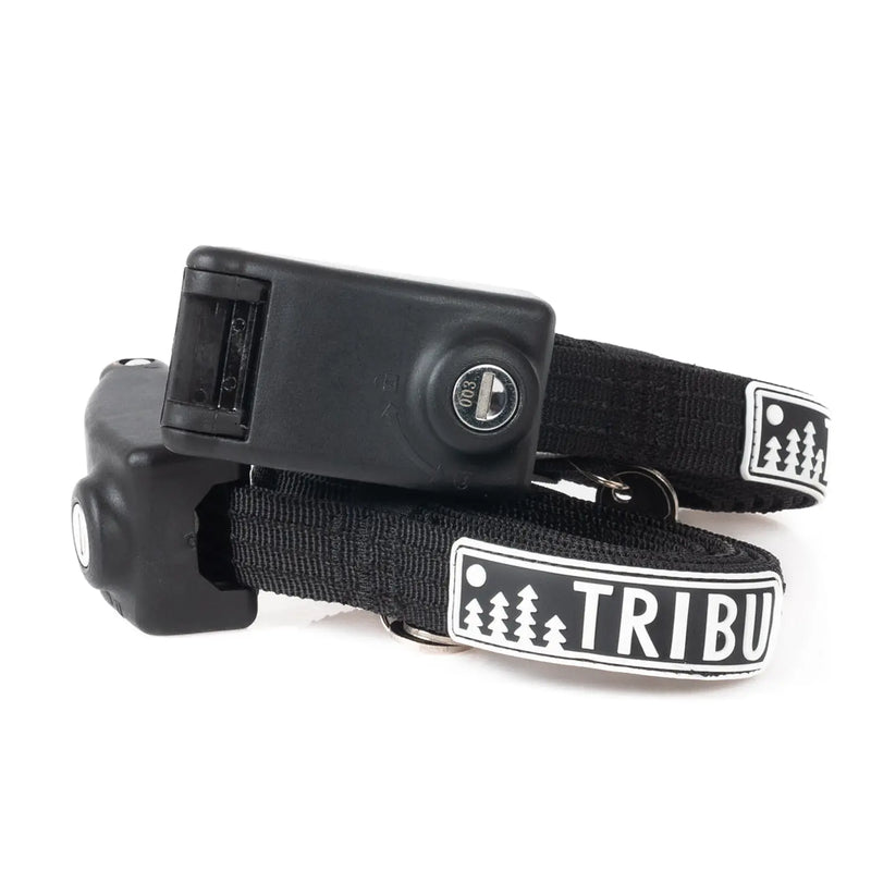Correas de Seguridad