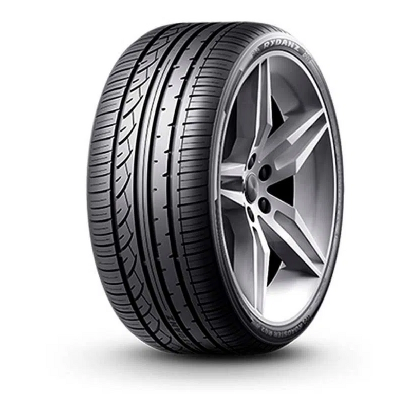 Rydanz Roadster R02 225/45R17 91W